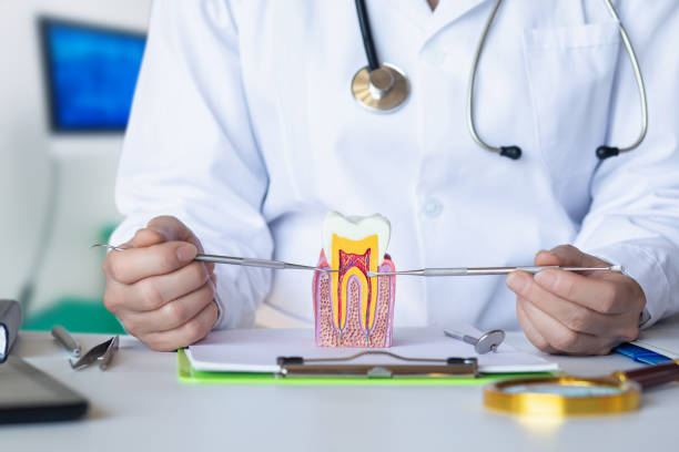 Best Root Canal Emergency Dentist  in Northlake, IL